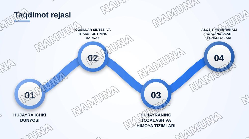Membranali organoidlar: endoplazmatik to’r, golji majmuasi, peroksisoma va lizosomafunksiyalarini taqqoslash — zamonaviy taqdimot, 2-slayd