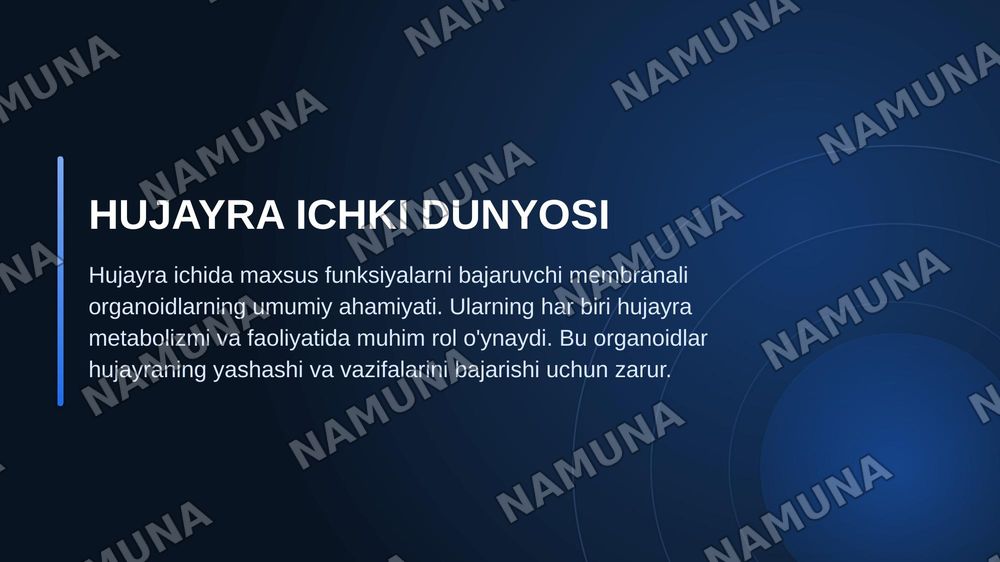 Membranali organoidlar: endoplazmatik to’r, golji majmuasi, peroksisoma va lizosomafunksiyalarini taqqoslash — zamonaviy taqdimot, 3-slayd