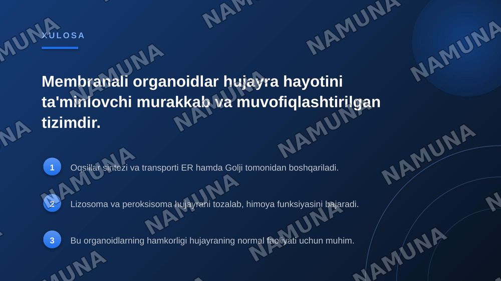 Membranali organoidlar: endoplazmatik to’r, golji majmuasi, peroksisoma va lizosomafunksiyalarini taqqoslash — zamonaviy taqdimot, 7-slayd