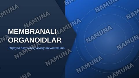 Membranali organoidlar: endoplazmatik to’r, golji majmuasi, peroksisoma va lizosomafunksiyalarini taqqoslash — zamonaviy taqdimot