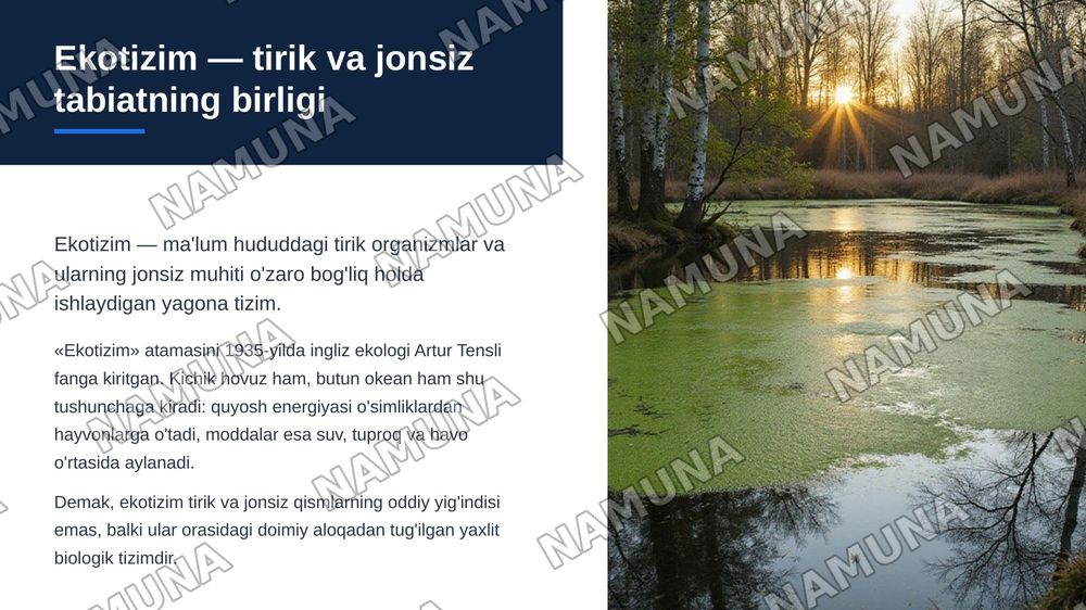 Ekalogik tizimlar va ularning asosiy komponentlari. — zamonaviy taqdimot, 3-slayd