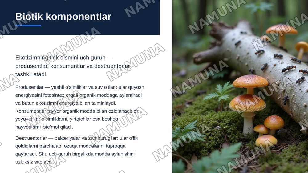 Ekalogik tizimlar va ularning asosiy komponentlari. — zamonaviy taqdimot, 5-slayd