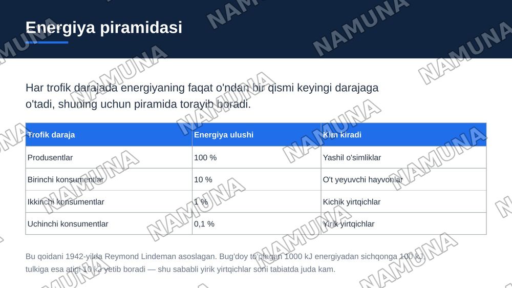 Ekalogik tizimlar va ularning asosiy komponentlari. — zamonaviy taqdimot, 8-slayd