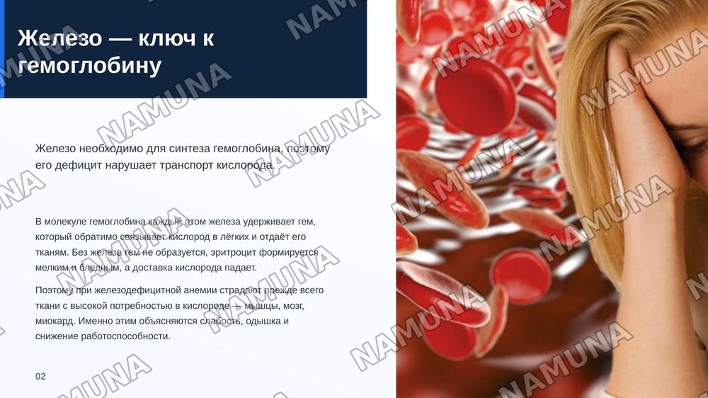 Железодефицитная анемия. По предмету фармакологии — zamonaviy taqdimot, 3-slayd