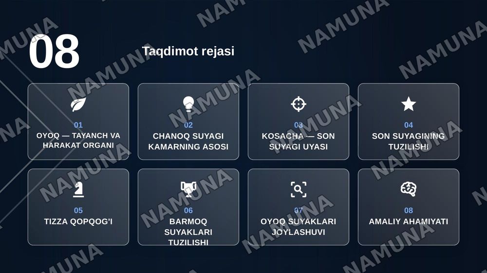 Oyoq kamari va oyoqning erkin suyaklari aniqlang va joylashuvini korsating — zamonaviy taqdimot, 2-slayd