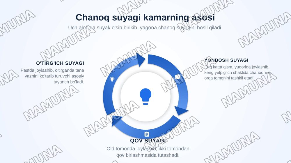 Oyoq kamari va oyoqning erkin suyaklari aniqlang va joylashuvini korsating — zamonaviy taqdimot, 6-slayd