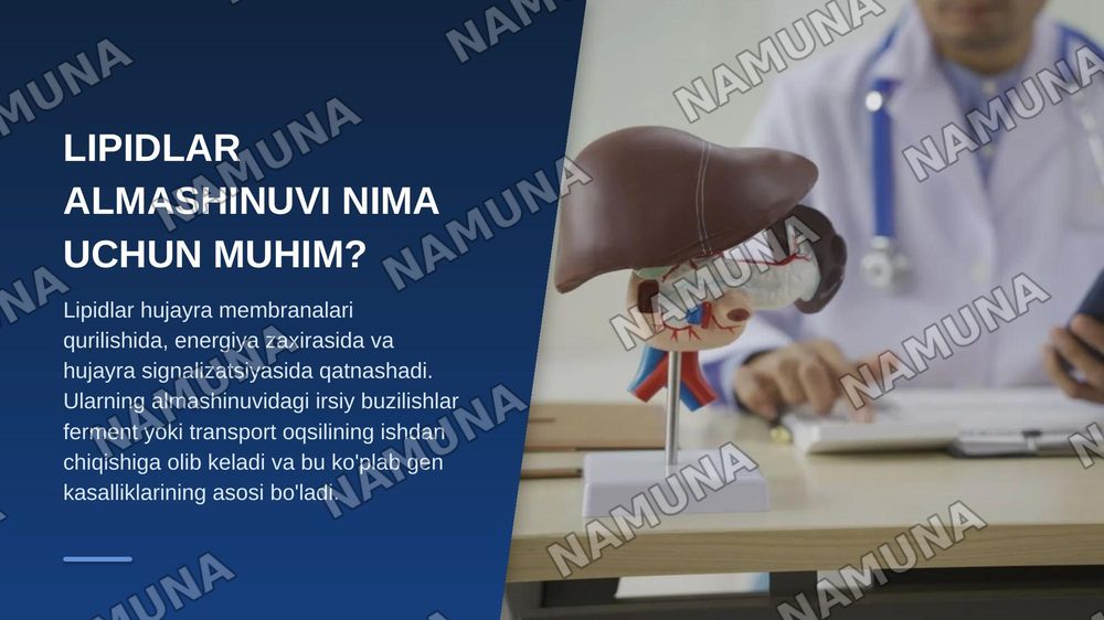 Lipidlar almashinuvining buzilishi natijasida kelib chiqadigan gen kasalliklari. — zamonaviy taqdimot, 3-slayd