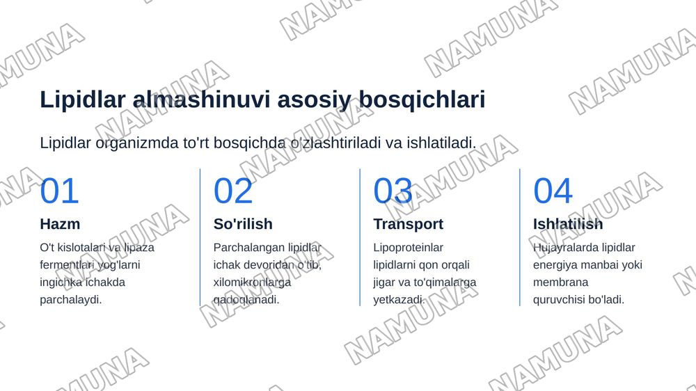 Lipidlar almashinuvining buzilishi natijasida kelib chiqadigan gen kasalliklari. — zamonaviy taqdimot, 4-slayd