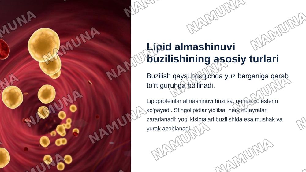 Lipidlar almashinuvining buzilishi natijasida kelib chiqadigan gen kasalliklari. — zamonaviy taqdimot, 6-slayd