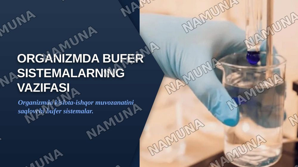 Organizmda bufer sistemalarning vazifasi. — zamonaviy taqdimot, 1-slayd