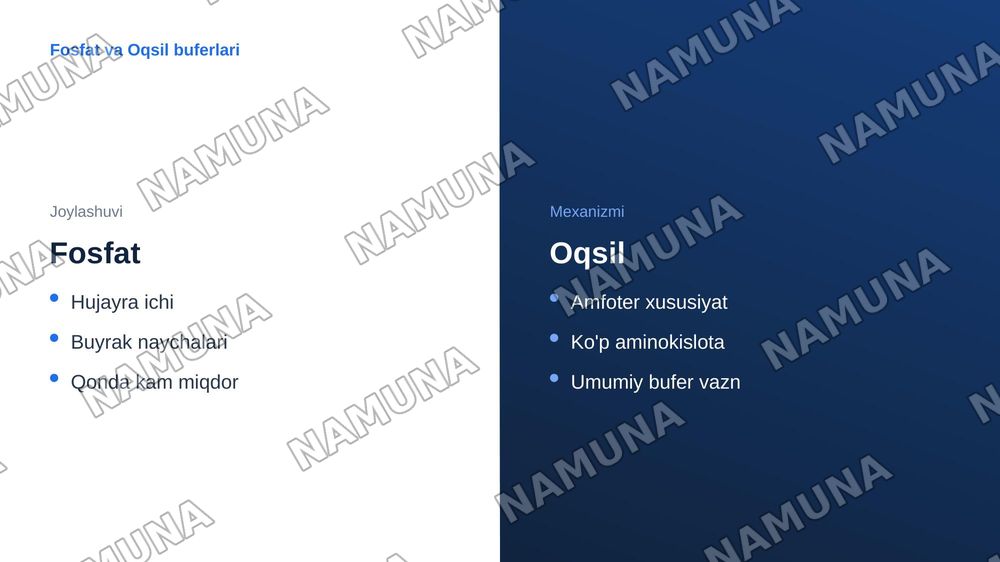 Organizmda bufer sistemalarning vazifasi. — zamonaviy taqdimot, 7-slayd
