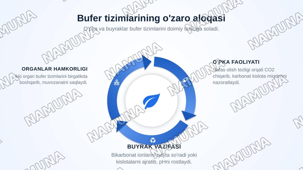 Organizmda bufer sistemalarning vazifasi. — zamonaviy taqdimot, 8-slayd