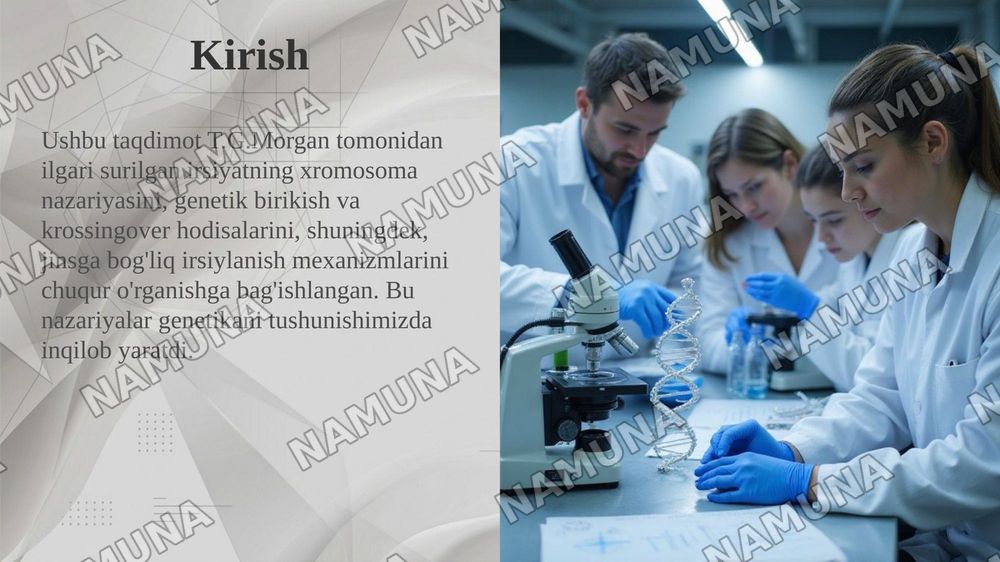 T.G.MORGANNING IRSIYATNING XROMOSOMA NAZARIYASI. GENLARNING BIRIKISH HODISASI, KROSSINGOVER. BELGILARNING JINSGA BIRIKKAN HOLDA IRSIYLANISHI. — taqdimot, 3-slayd