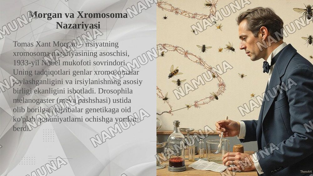 T.G.MORGANNING IRSIYATNING XROMOSOMA NAZARIYASI. GENLARNING BIRIKISH HODISASI, KROSSINGOVER. BELGILARNING JINSGA BIRIKKAN HOLDA IRSIYLANISHI. — taqdimot, 4-slayd