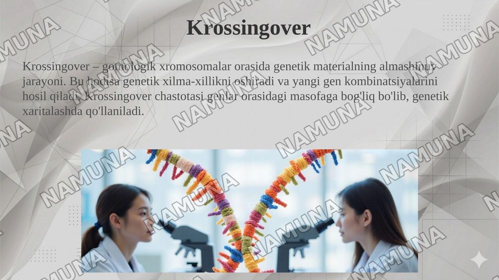 T.G.MORGANNING IRSIYATNING XROMOSOMA NAZARIYASI. GENLARNING BIRIKISH HODISASI, KROSSINGOVER. BELGILARNING JINSGA BIRIKKAN HOLDA IRSIYLANISHI. — taqdimot, 6-slayd