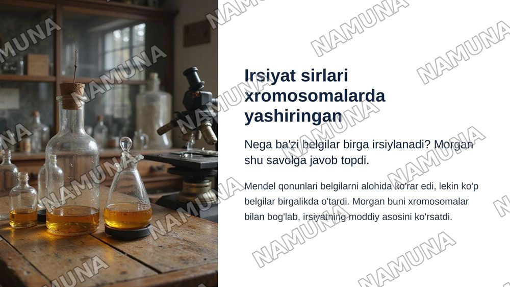 Tomas morganning irsiyatning xromosoma nazariyasi.Genlarning birikish nazariyasi krossingover — zamonaviy taqdimot, 3-slayd