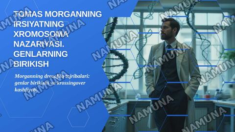 Tomas morganning irsiyatning xromosoma nazariyasi.Genlarning birikish nazariyasi krossingover — zamonaviy taqdimot