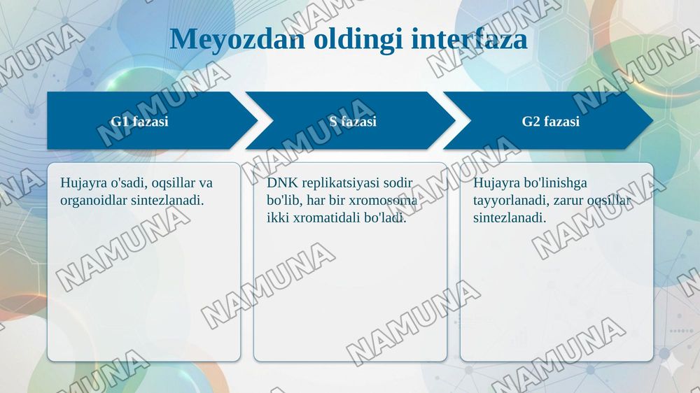Meyoz — taqdimot, 7-slayd