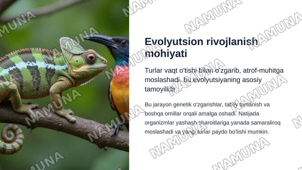 Bialogik turlar va evakyutsion rivojlanish — zamonaviy taqdimot, 4-slayd