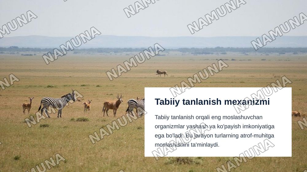 Bialogik turlar va evakyutsion rivojlanish — zamonaviy taqdimot, 6-slayd