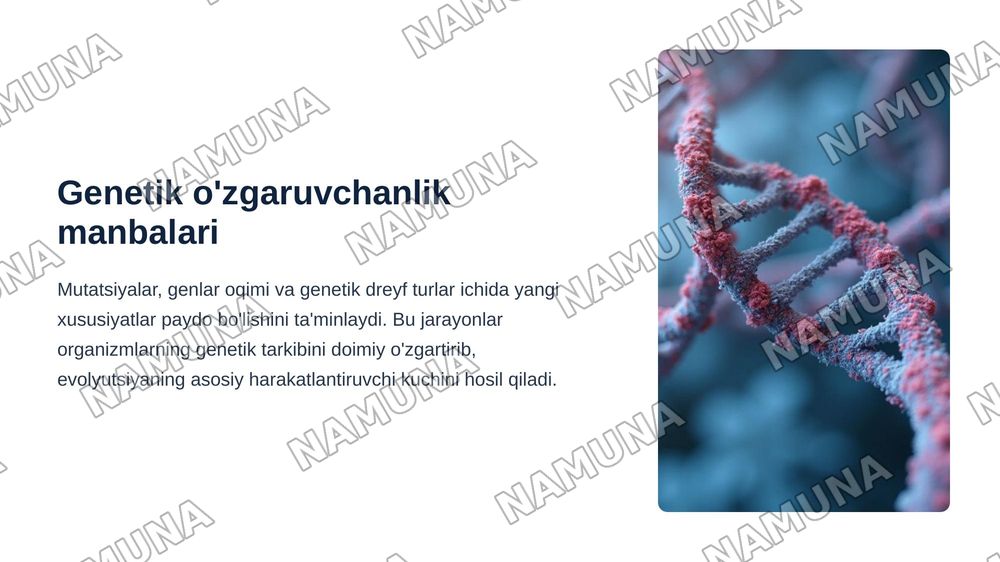 Bialogik turlar va evakyutsion rivojlanish — zamonaviy taqdimot, 7-slayd