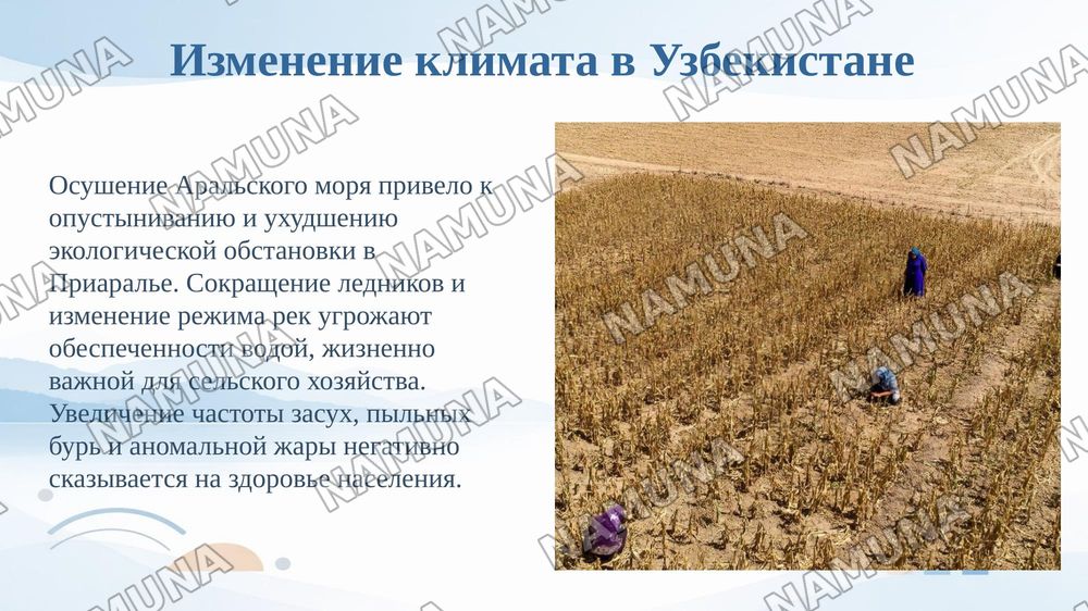 «Социальное значение глобальных проблем в Узбекистане» — taqdimot, 4-slayd