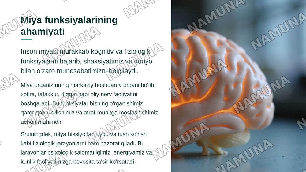 .Xotira tarkibini aniqlash. Tafakkur Diqqat. Hissiyotning fiziologik asoslari. Uyqu, tush ko`rish — zamonaviy taqdimot, 3-slayd