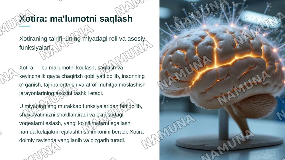 .Xotira tarkibini aniqlash. Tafakkur Diqqat. Hissiyotning fiziologik asoslari. Uyqu, tush ko`rish — zamonaviy taqdimot, 4-slayd