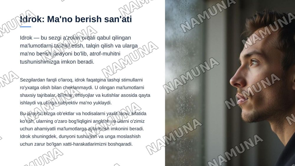 Sezgi va Idrok — zamonaviy taqdimot, 5-slayd