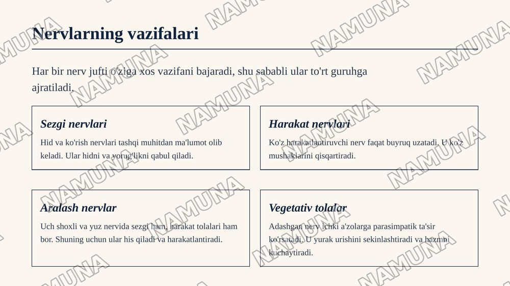 7 juft nerv — zamonaviy taqdimot, 5-slayd
