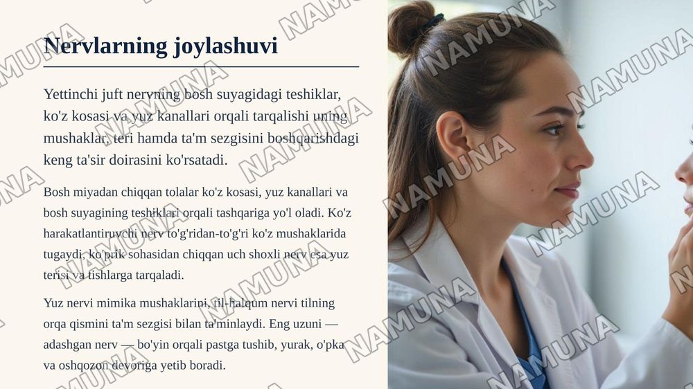 7 juft nerv — zamonaviy taqdimot, 6-slayd