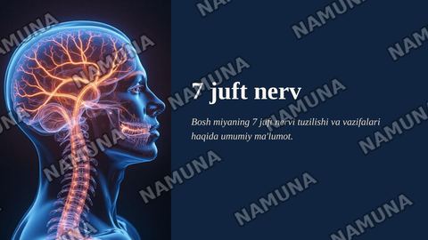 7 juft nerv — zamonaviy taqdimot