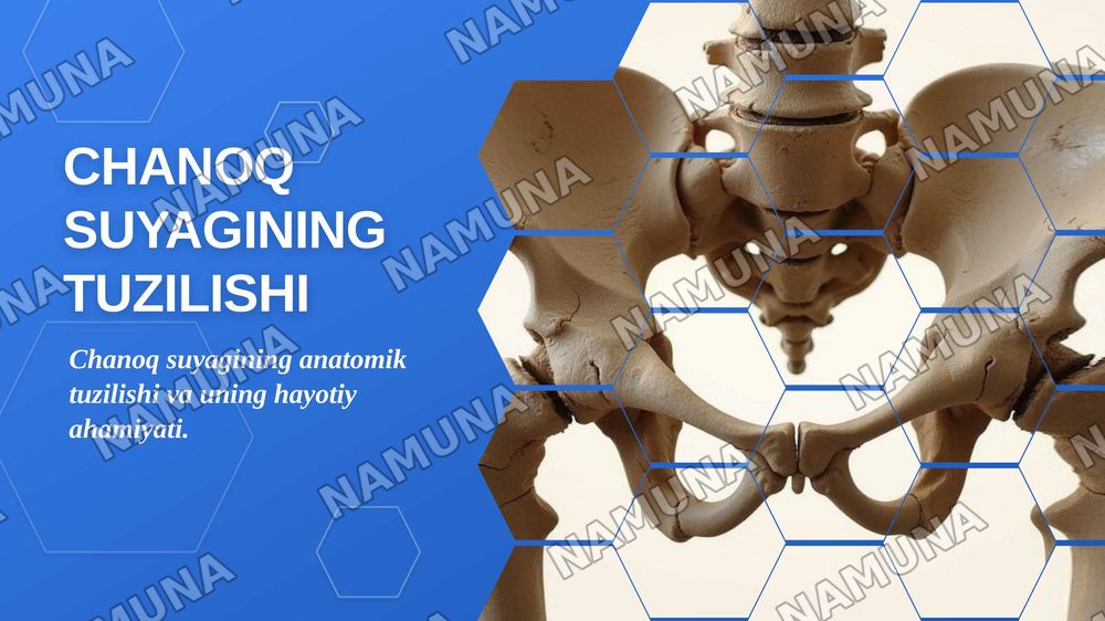 Chanoq suyagining tuzilishi — zamonaviy taqdimot, 1-slayd