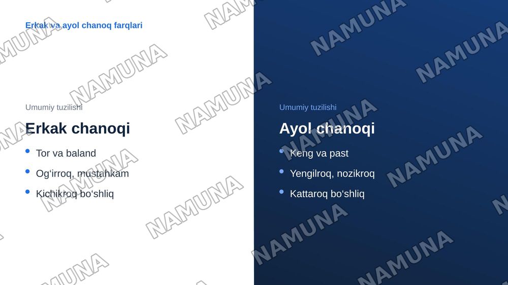 Chanoq suyagining tuzilishi — zamonaviy taqdimot, 6-slayd