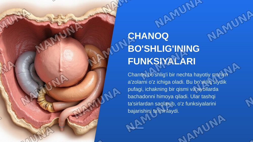 Chanoq suyagining tuzilishi — zamonaviy taqdimot, 7-slayd
