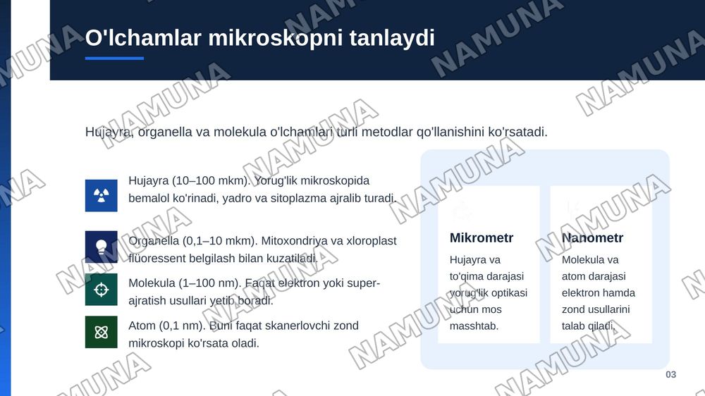 Svitapotik mikraskopiyanong zamonoaviy metodlari — zamonaviy taqdimot, 4-slayd