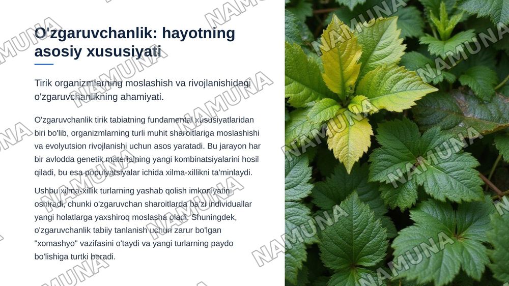 O'zgaruvchanlik. Gen mutatsiyasi — zamonaviy taqdimot, 3-slayd