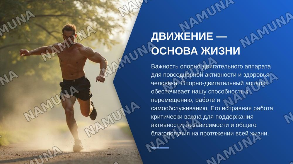 Лексическая тема. Функции опорно-двигательного аппарата. Грамматический материал. Глагол. Описание функции предмета. Речевой этикет. Вопросы о согласии и несогласии. — zamonaviy taqdimot, 3-slayd