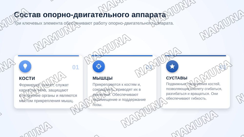 Лексическая тема. Функции опорно-двигательного аппарата. Грамматический материал. Глагол. Описание функции предмета. Речевой этикет. Вопросы о согласии и несогласии. — zamonaviy taqdimot, 5-slayd