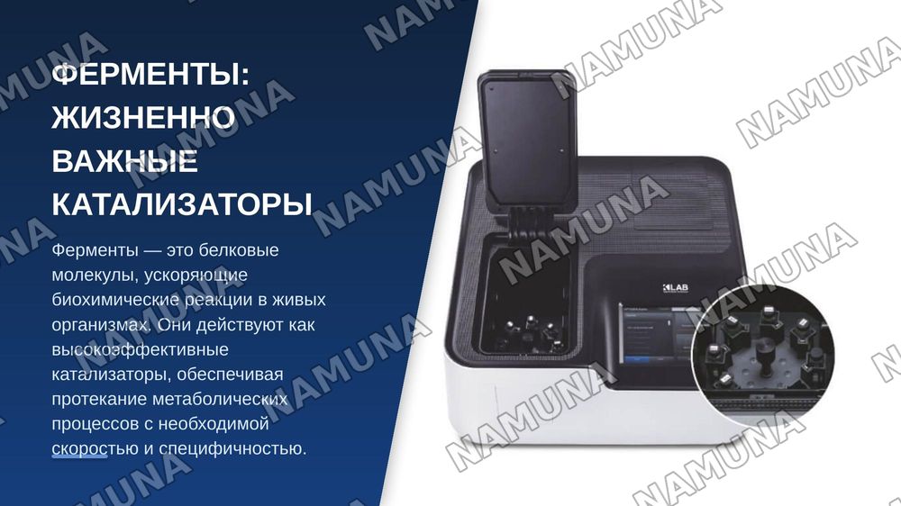 Методы регулирования активности ферментов. — zamonaviy taqdimot, 3-slayd