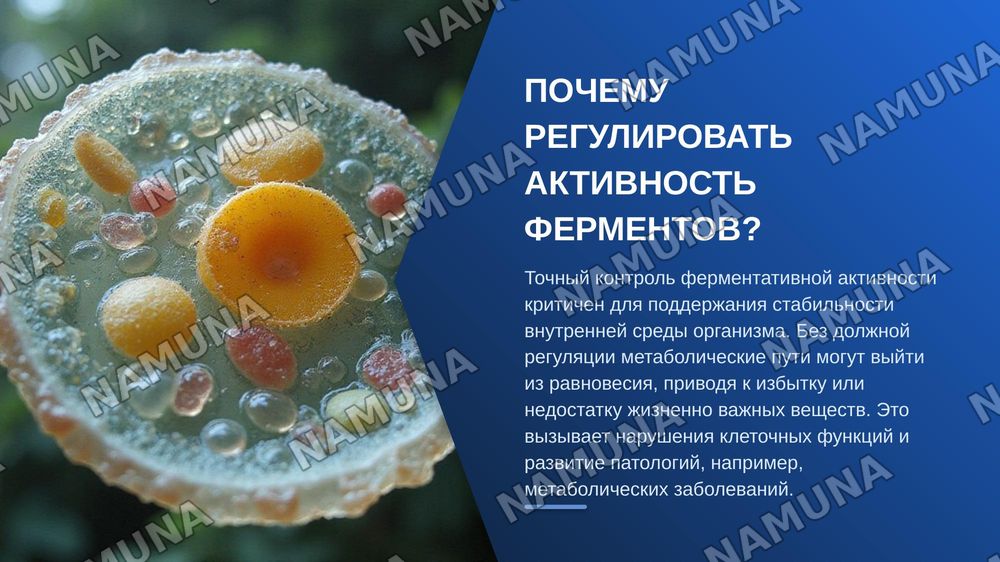 Методы регулирования активности ферментов. — zamonaviy taqdimot, 4-slayd