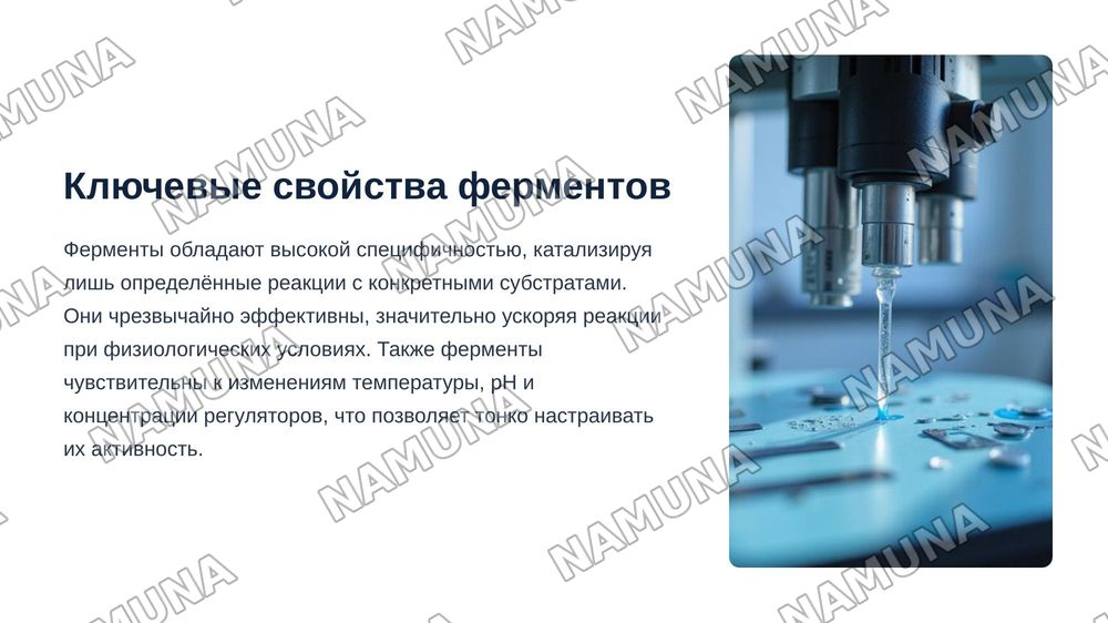 Методы регулирования активности ферментов. — zamonaviy taqdimot, 5-slayd
