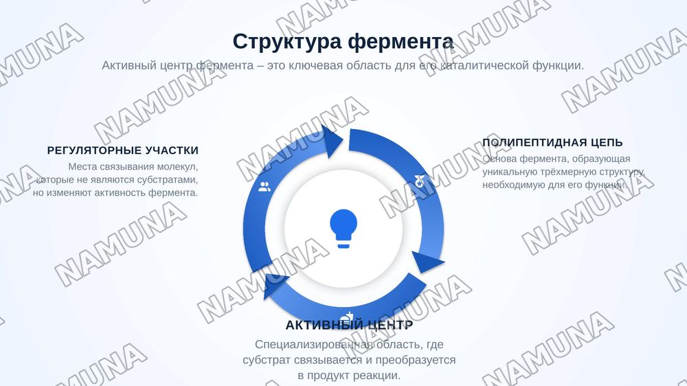 Методы регулирования активности ферментов. — zamonaviy taqdimot, 6-slayd