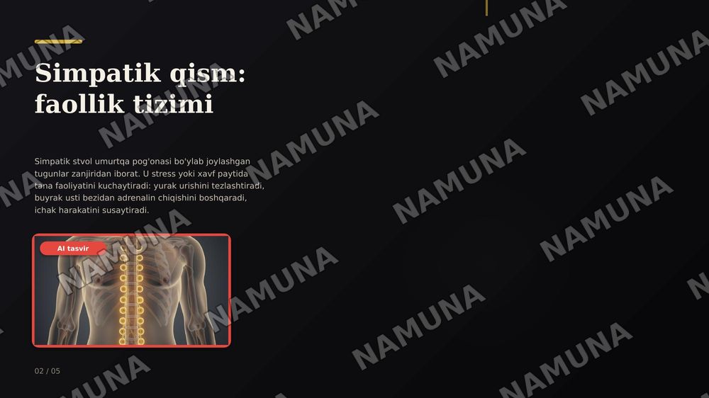 Vegetativ nerv tizimi: simpatik va parasimpatik qismi — zamonaviy taqdimot, 2-slayd
