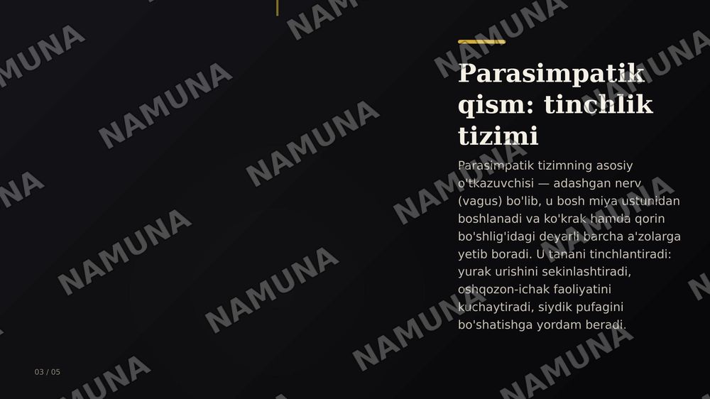 Vegetativ nerv tizimi: simpatik va parasimpatik qismi — zamonaviy taqdimot, 4-slayd