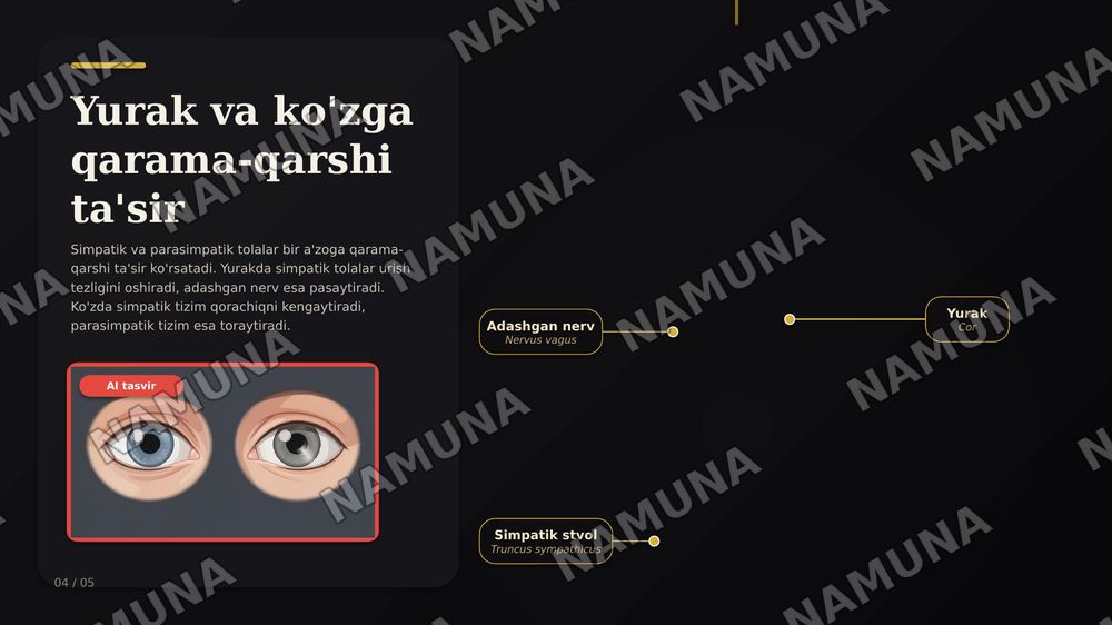 Vegetativ nerv tizimi: simpatik va parasimpatik qismi — zamonaviy taqdimot, 6-slayd