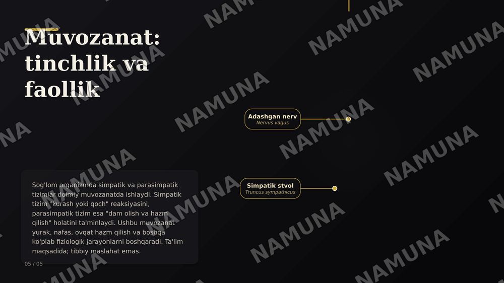 Vegetativ nerv tizimi: simpatik va parasimpatik qismi — zamonaviy taqdimot, 7-slayd