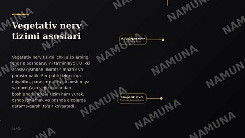 Vegetativ nerv tizimi: simpatik va parasimpatik qismi — zamonaviy taqdimot