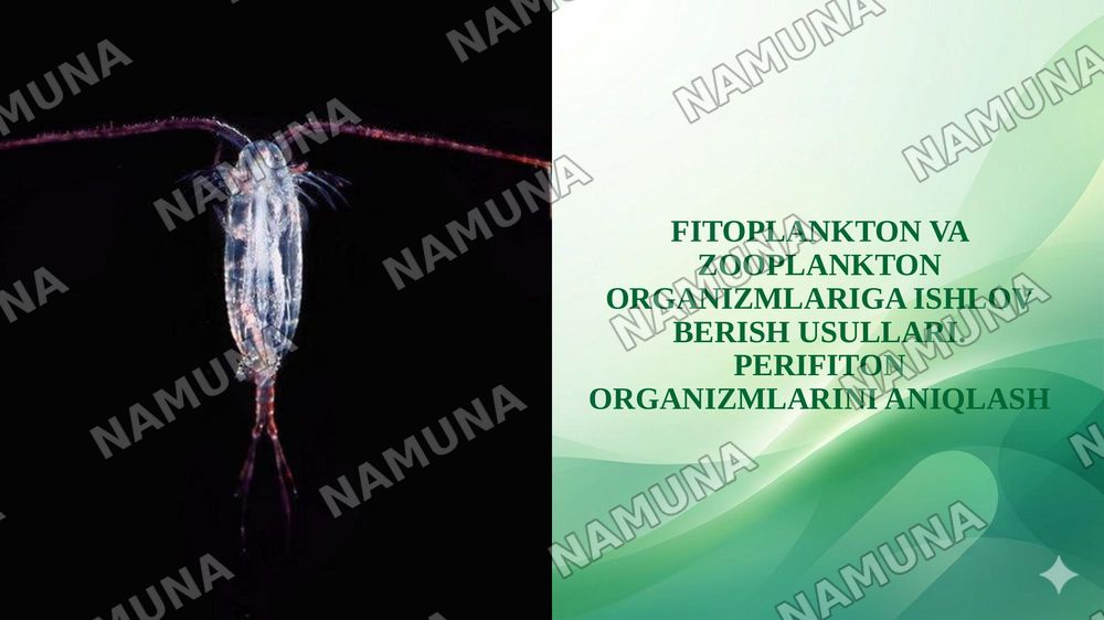 FITOPLANKTON VA ZOOPLANKTON ORGANIZMLARIGA ISHLOV BERISH USULLARI. PERIFITON ORGANIZMLARINI ANIQLASH — taqdimot, 1-slayd