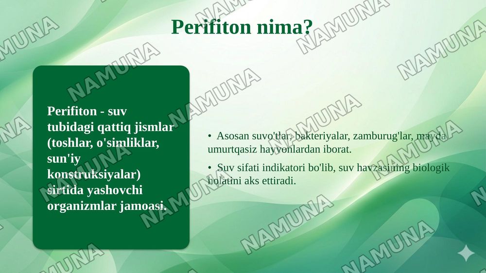 FITOPLANKTON VA ZOOPLANKTON ORGANIZMLARIGA ISHLOV BERISH USULLARI. PERIFITON ORGANIZMLARINI ANIQLASH — taqdimot, 8-slayd